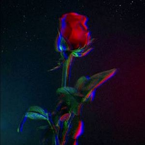 Meet your Posher, Hazel